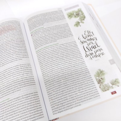 image_388fd91f-76ca-4d78-9deb-2b6778c5948a