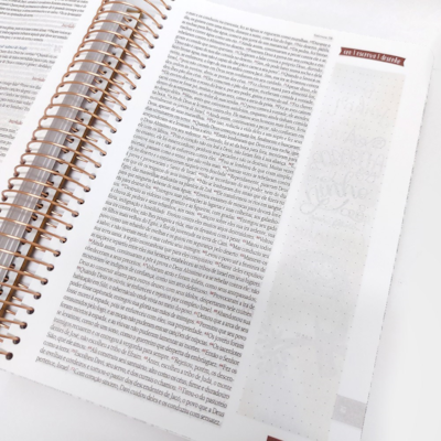 image_58599ad1-de50-4aed-8e82-e10e15c8e0ed