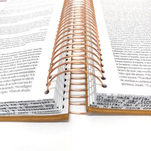 Bíblia Ilustrada Anote Tipografia | NVT | Letra Normal | Capa Dura Espiral