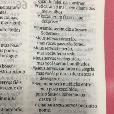 image_96da62d5-f2cd-4d99-b52a-462343283608