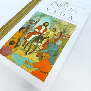 Bíblia Infantil Vida | Capa Dura Ilustrada
