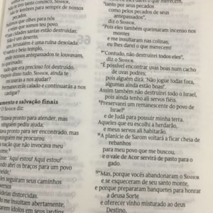 Segunda imagem do produto Bíblia Jardim da Vida Roxo | NVT Letra Grande | Capa Dura