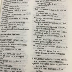 Bíblia Jardim da Vida Roxo | NVT Letra Grande | Capa Dura