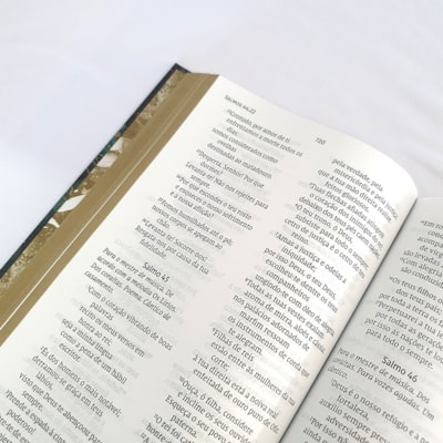 image_f4b0a9bc-b7a4-4149-aed4-a7aeaa38606a