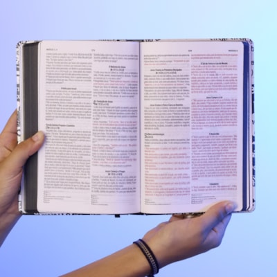 image_459dd1f5-8136-4072-9dfe-1cae654ff06d