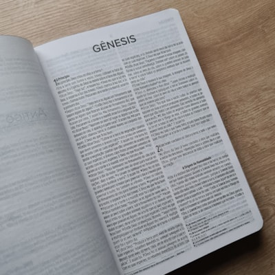 image_26912dd7-aad4-4344-802b-6cca35b7b5ef