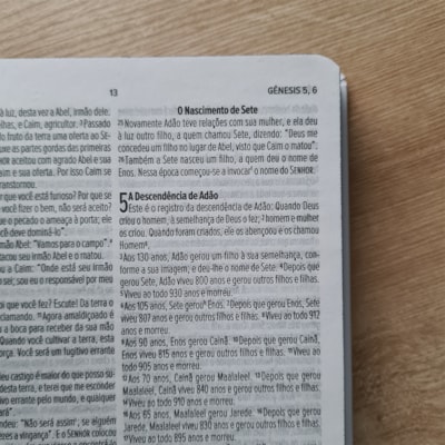 image_1e79932c-5aef-47b8-bf95-4287a1f6a61a