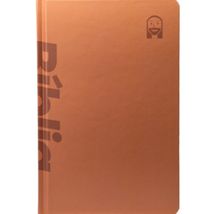 Bíblia Jesus Copy Sticker | NVI | Letra Normal |  Capa Dura Terracota