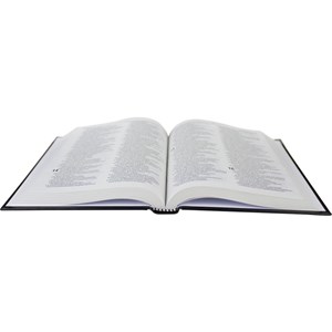 Bíblia Jesus é Minha Ancora | Letra Normal | NAA | Capa Dura