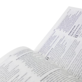 Segunda imagem do produto Bíblia Jesus é o Leão da Tribo de Judá | Letra Normal | NAA