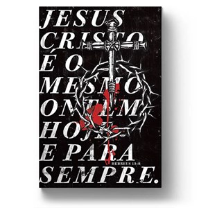 Bíblia Jesus Eterno | NAA Letra Normal | Capa Dura Soft-Touch