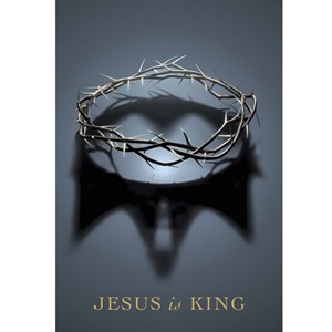 Bíblia Jesus Is King | NAA | Letra Normal | Capa Dura