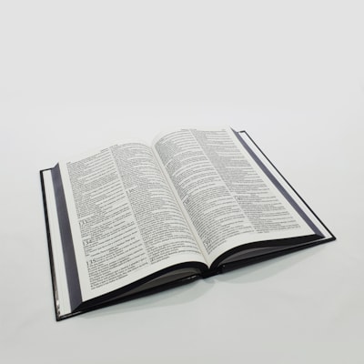 image_31a853ac-9562-4f13-9a1d-ac44c71a070c