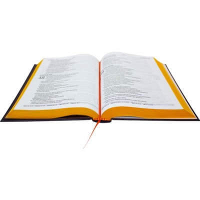 image_539518e5-96bf-4a93-9af1-8d8c4d258a65