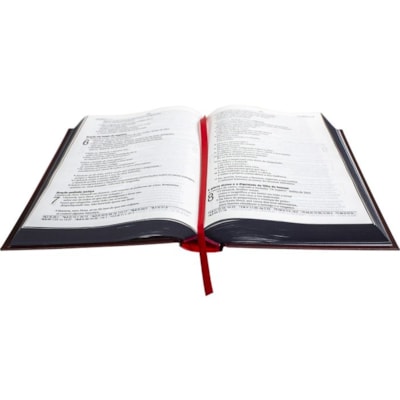 image_e15fc378-1e53-41a9-a6e2-2da04613621a