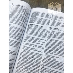Bíblia JesusCopy Leão Vermelho | NAA | Capa Dura