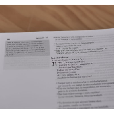 image_60629e3f-4249-4032-9f6d-2368f9c14ae8