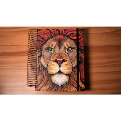 image_583eb81f-6ad3-40b0-9ede-50d6c8ef33c8