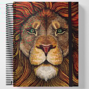 Bíblia Jornada Aslam | Espiral | NAA | Letra Grande | Capa Dura