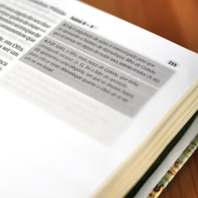 image_278c776d-b6bc-4eea-81a0-d9dccb540f1d