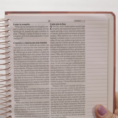 image_61ae6fa3-69d3-4e6e-871d-caadec87b56b