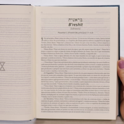 image_b0e4fe4a-5ca0-46ea-a5ec-afe16b412f36