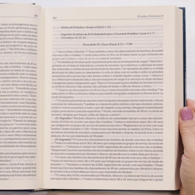 image_ff7e844e-cc19-413a-b5d1-aa4e9ae2cebd