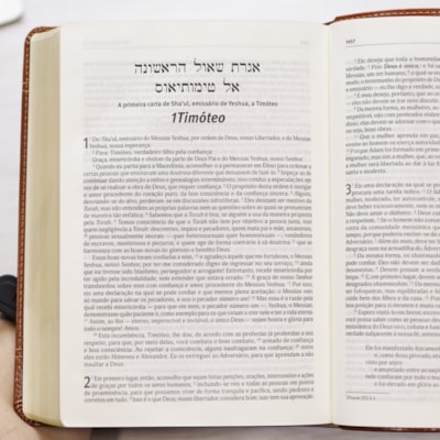 image_e0870f96-7b40-43e8-a279-2093988e44bc