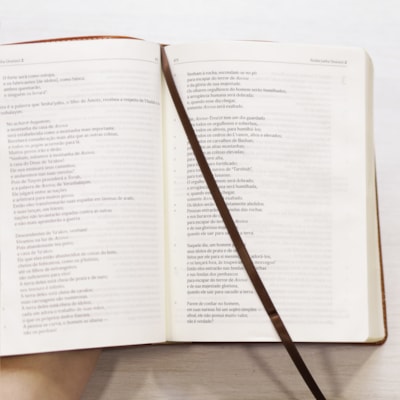 image_afddf3de-b397-473e-89eb-fe463566a378