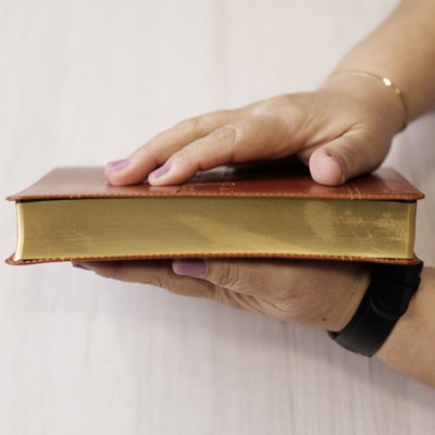 image_e3a41806-f6c0-48d6-96e5-aef3a9d66708