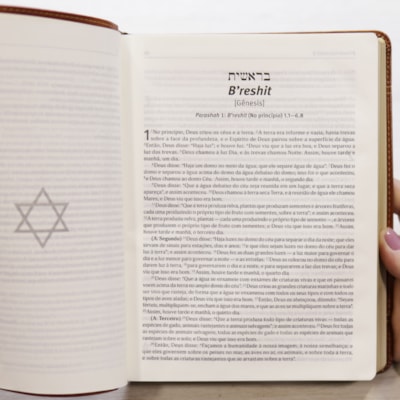 image_a51ed8df-77df-433a-bc52-c125fb8a8843