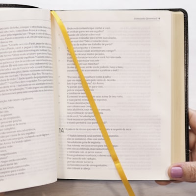 image_b68d5a71-13e9-49c6-b02b-36351eb03a0f