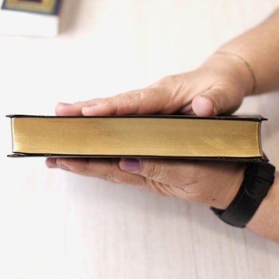 image_2245d8b2-28ee-4b02-b4ef-945d22cbcd4e