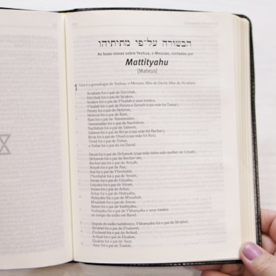 image_9c4a05d8-44e9-4d0c-b9d6-ef0772a061b9