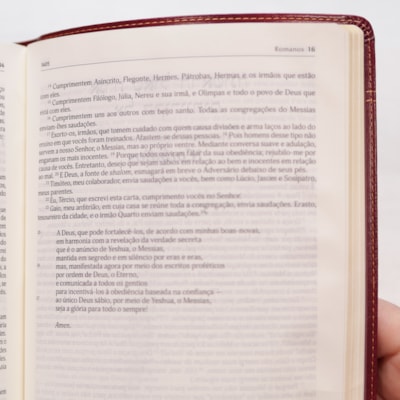 image_683d74f9-e23c-4f59-98ec-ab2742d590df