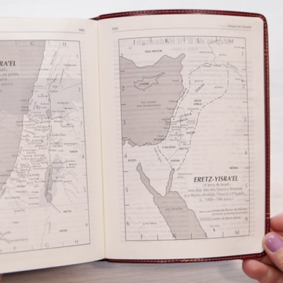 image_4c6be70d-666d-4ff8-94a8-1db2b99d81e2