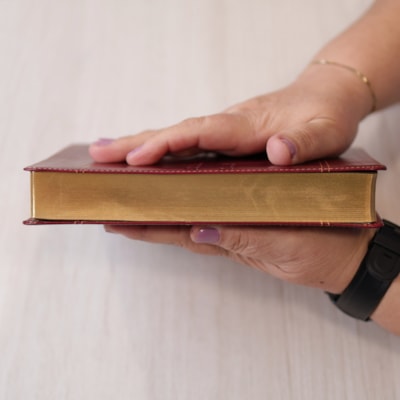 image_b80f2d77-a4b1-48d4-b51b-1c23fa2ef2cb