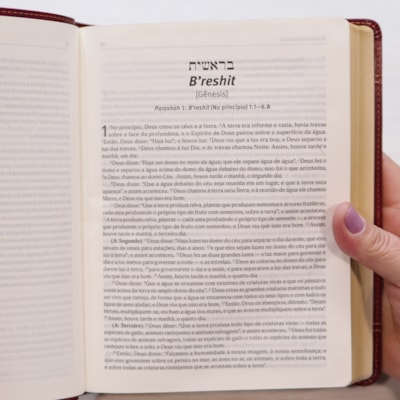 image_74031020-86f6-40dd-a79a-dcb373813595