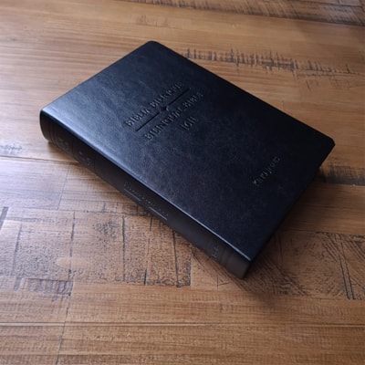 image_439bda19-f1f5-4dce-aa91-22f5c4f54c20