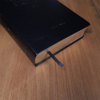 image_cc93f088-5e08-429f-bca1-16d5dac64136