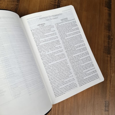 image_34b278e2-4773-4595-b2cc-8d3a8be3c28a