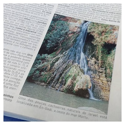 image_19eeecb9-118a-4ba7-9642-15aa78df2aa1