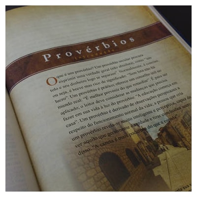 image_45adea4e-9738-4878-a55b-82dd20584600