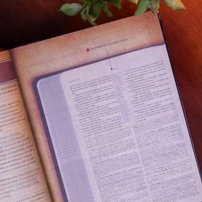 image_46ae4b14-f23c-4bd6-9c49-d613d2a5f35a