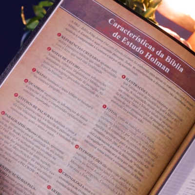 image_cc9d012b-82c2-4a5b-85f7-676960775a38