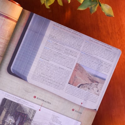 image_a5673184-fa98-46dd-bca2-073c54c88353