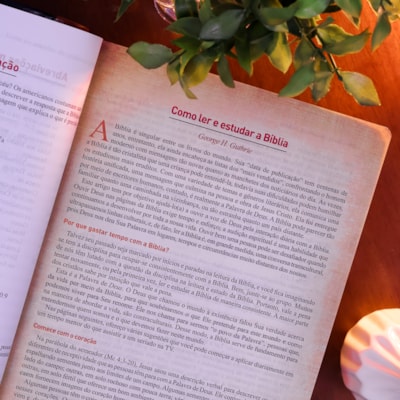 image_522eabdd-2a36-4611-abce-c7c66c2bcb3b