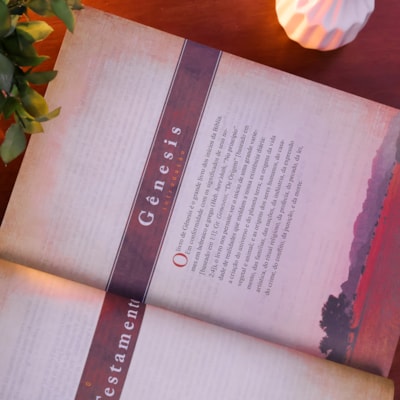 image_ba5904f3-fc2b-40dc-b921-cc460de9a390