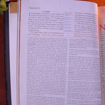 image_07f84b43-dd5d-43f4-abe7-d8a716e6018d