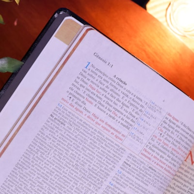 image_960fdb53-7c0b-4d9a-b3dc-43d81c7114a8